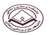 Preventive Care in Nursing and Midwifery Journal